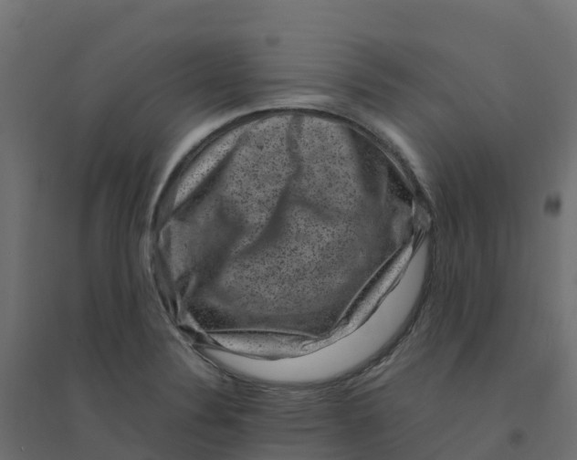 X0000094341324200711241843