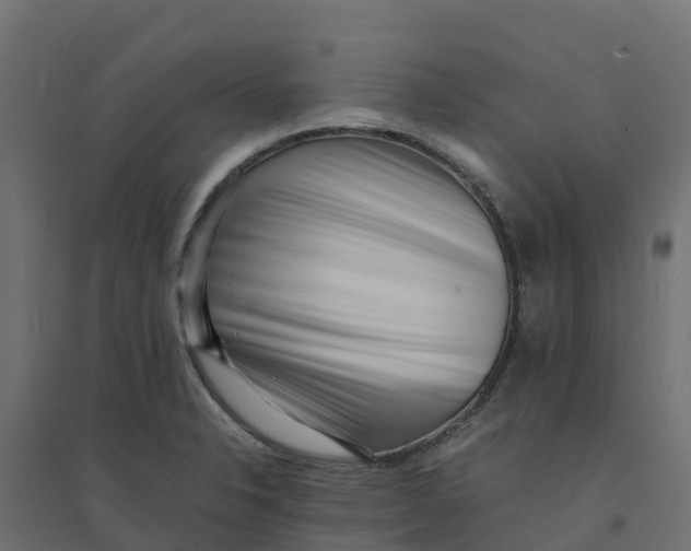 X0000094341326200711241843