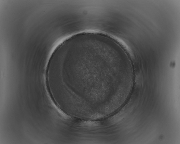 X0000094341327200711241843