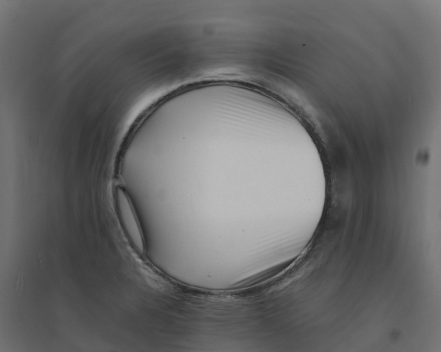 X0000094341328200711241843