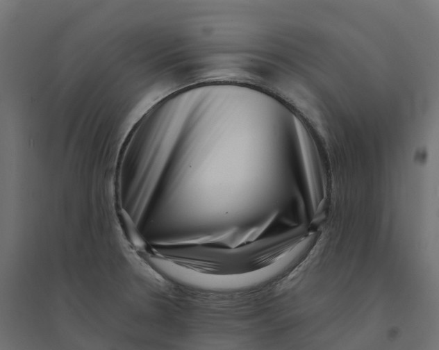 X0000094341330200711241843