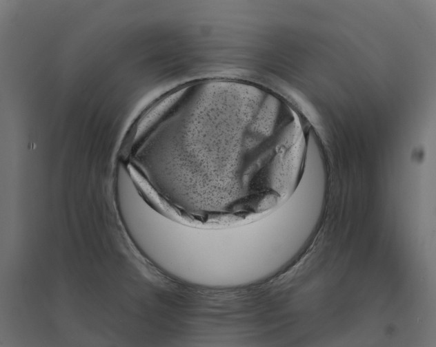 X0000094341332200711241843