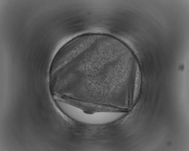 X0000094341335200711241843