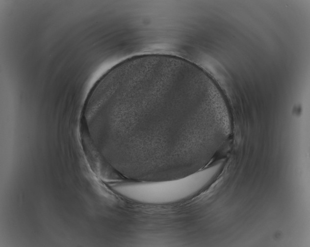 X0000094341336200711241843