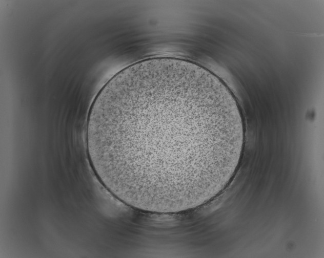 X0000094341338200711241843