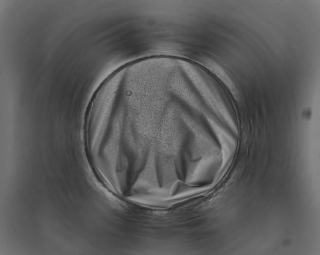 X0000094341339200711241843