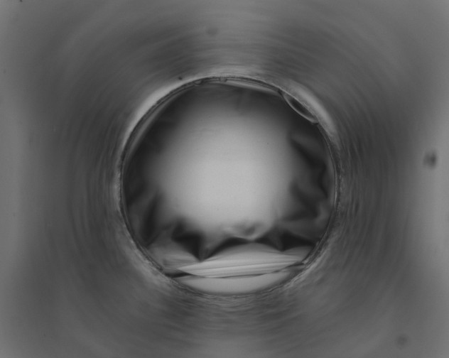 X0000094341340200711241843