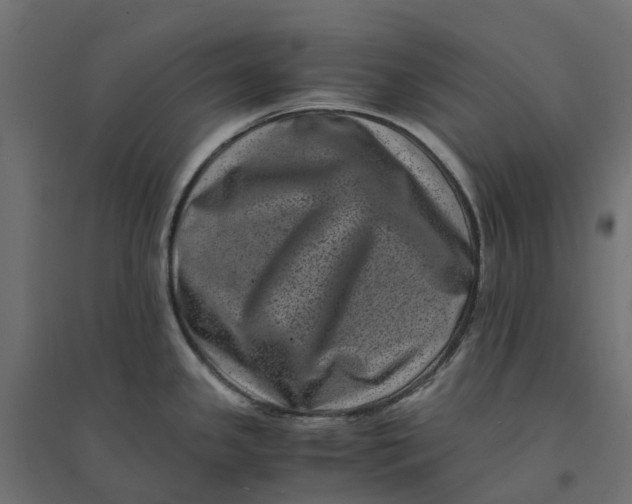 X0000094341341200711241843