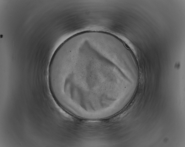 X0000094341343200711241843