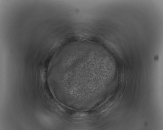 X0000094341346200711241842