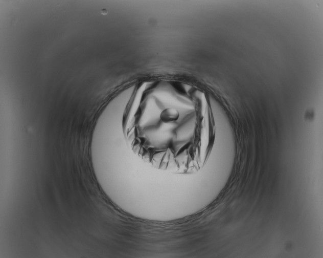 X0000094341348200711241842