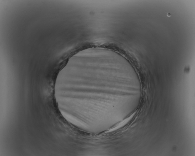 X0000094341349200711241842