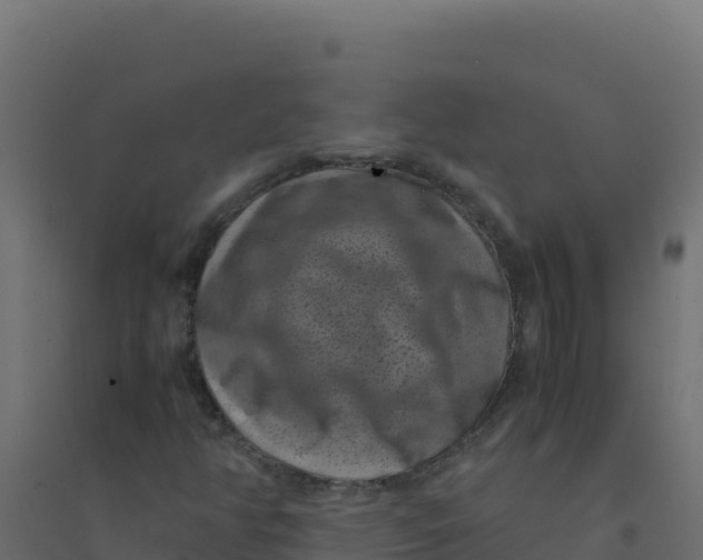 X0000094341350200711241842