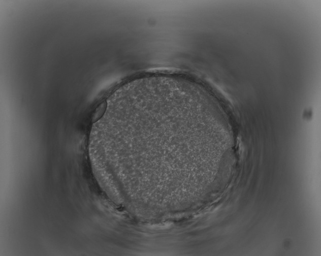 X0000094341351200711241842