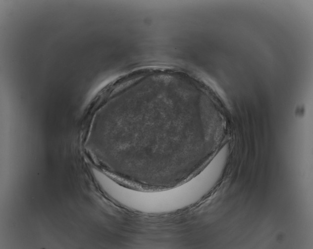 X0000094341352200711241842