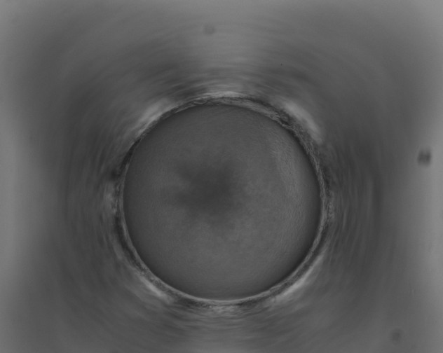 X0000094341353200711241842