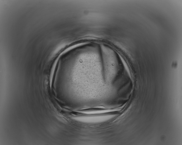 X0000094341355200711241842