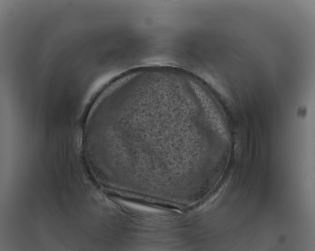 X0000094341358200711241842