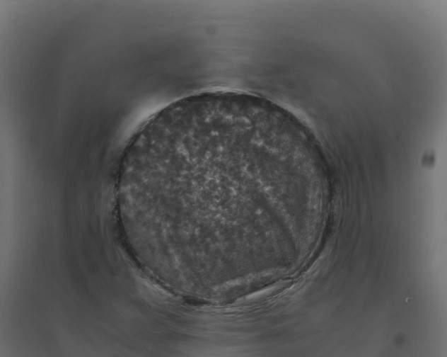 X0000094341359200711241842