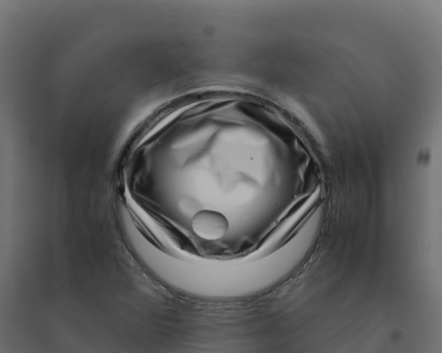 X0000094341360200711241842