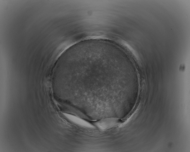 X0000094341361200711241842