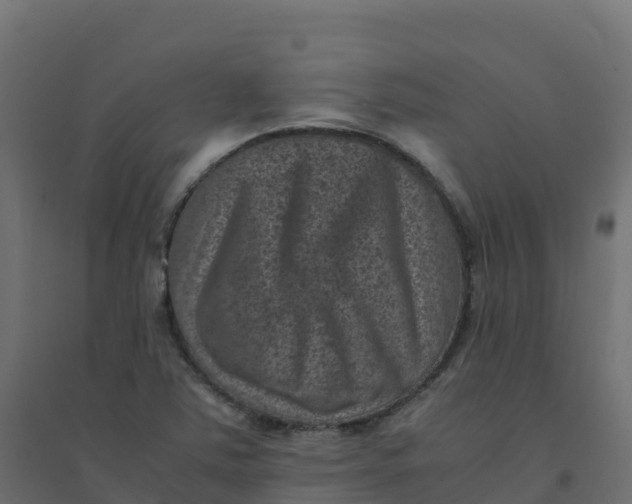 X0000094341363200711241842