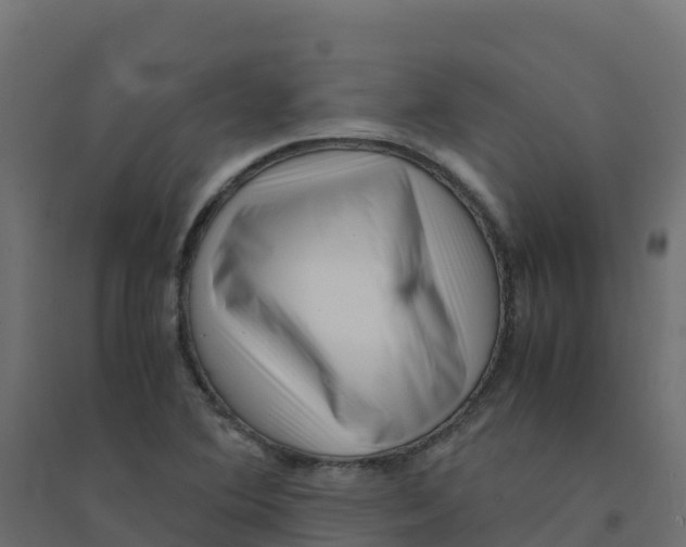 X0000094341364200711241842