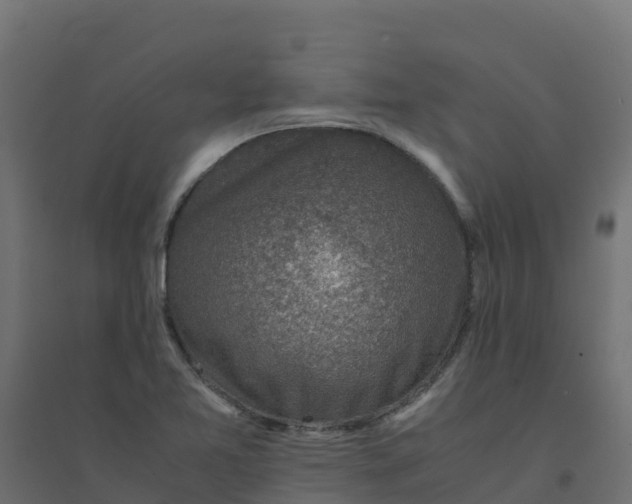 X0000094341365200711241842