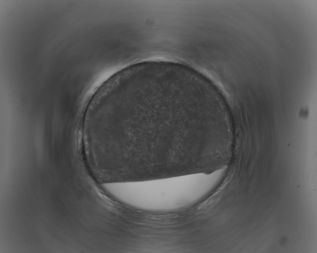 X0000094341367200711241842