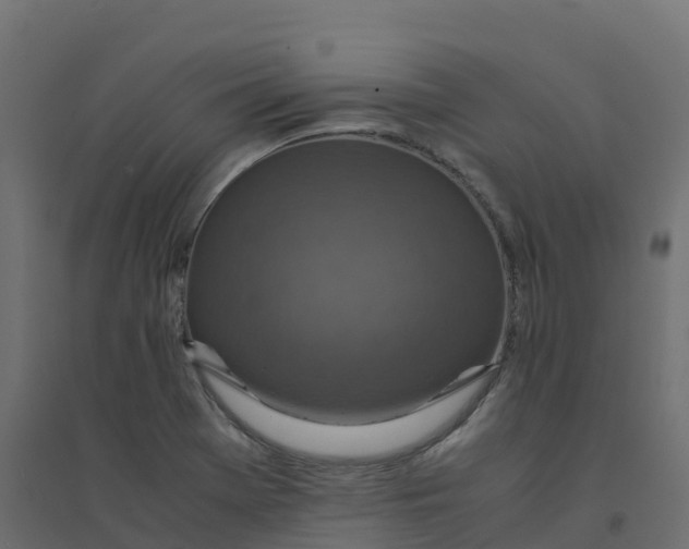 X0000094341369200711241842