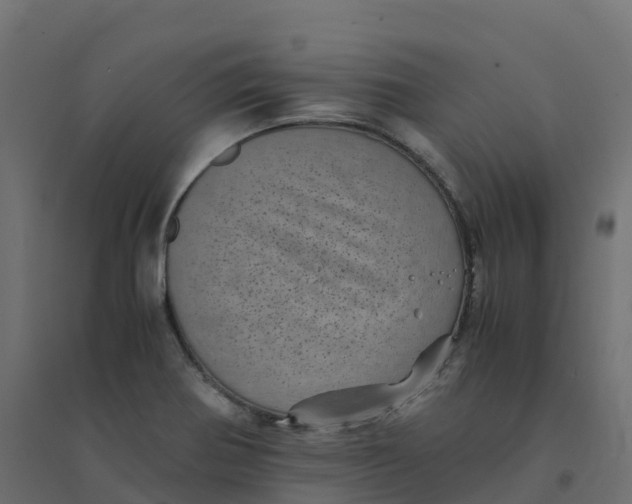 X0000094341370200711241842