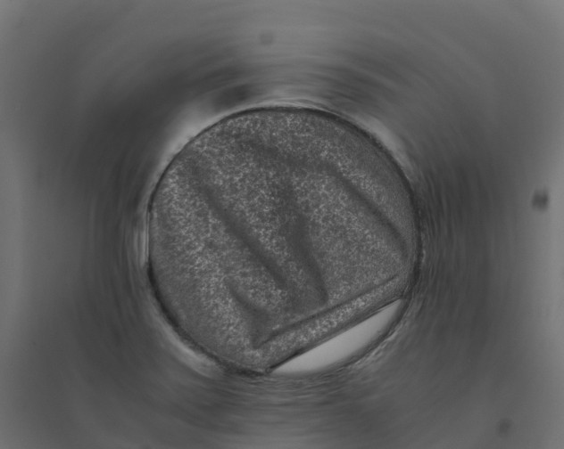 X0000094341371200711241842