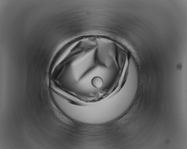 X0000094341372200711241842