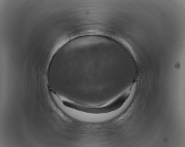 X0000094341373200711241842