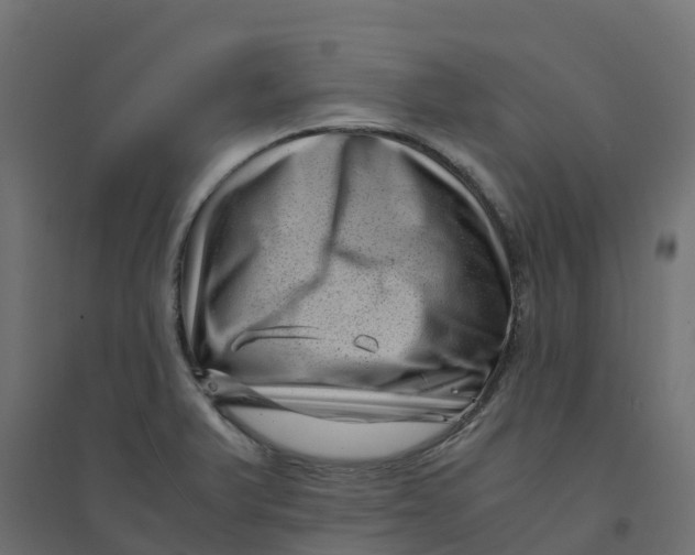 X0000094341375200711241842