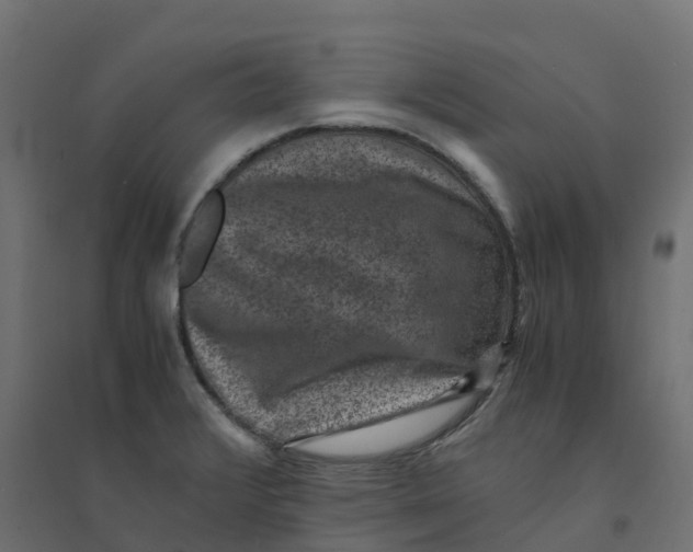 X0000094341376200711241842