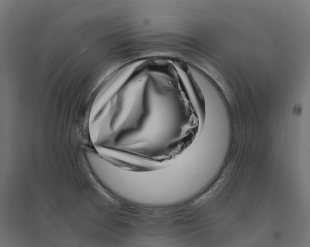 X0000094341377200711241842