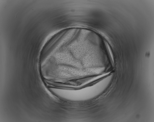 X0000094341379200711241842