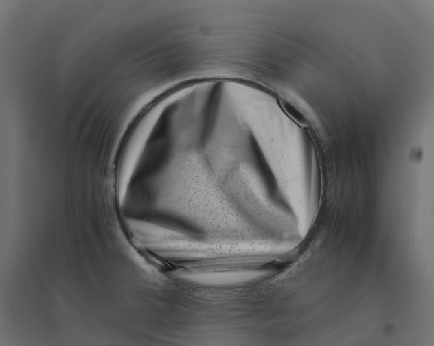 X0000094341380200711241842