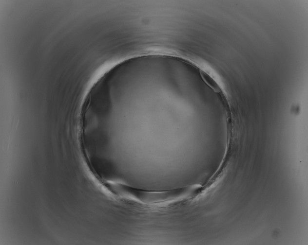 X0000094341381200711241842