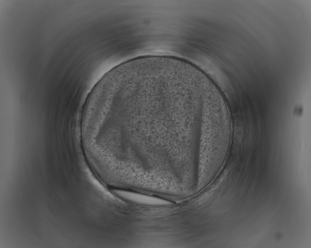 X0000094341382200711241842