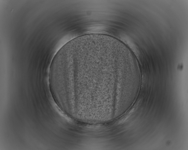 X0000094341386200711241842