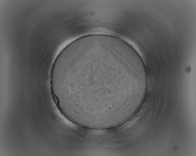 X0000094341387200711241842