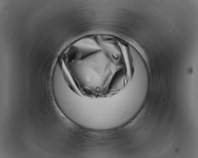 X0000094341388200711241842