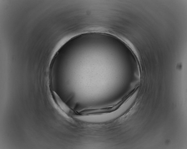 X0000094341389200711241842