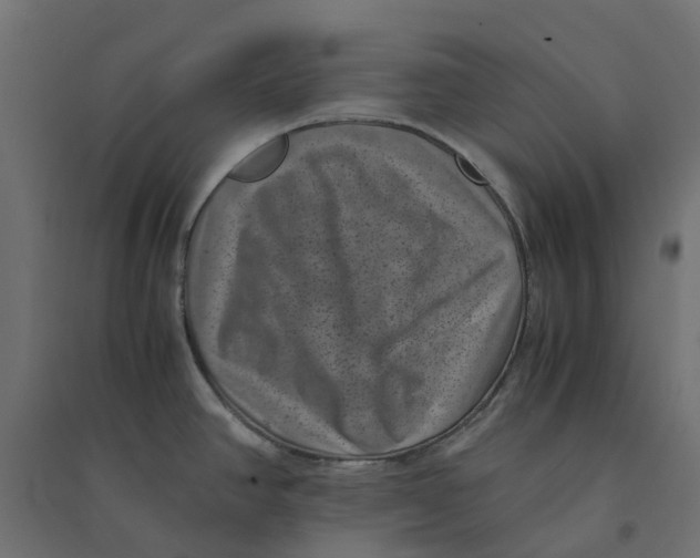 X0000094341390200711241842