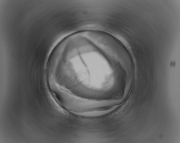 X0000094341392200711241842