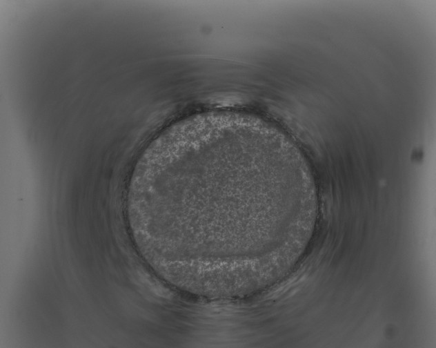 X0000094341393200711241841