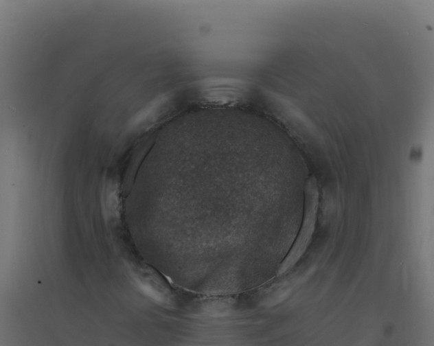 X0000094341394200711241841