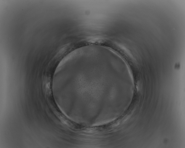 X0000094341396200711241841